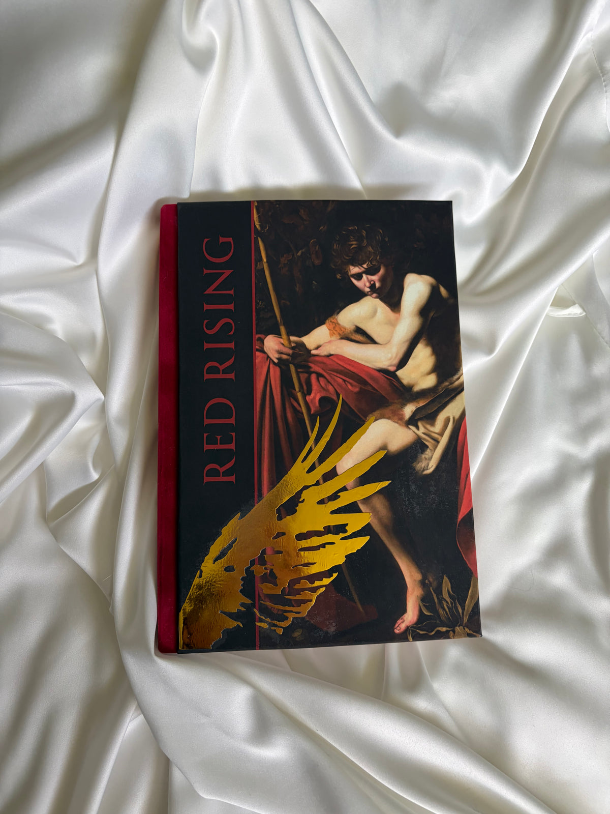 Red Rising by Pierce Brown