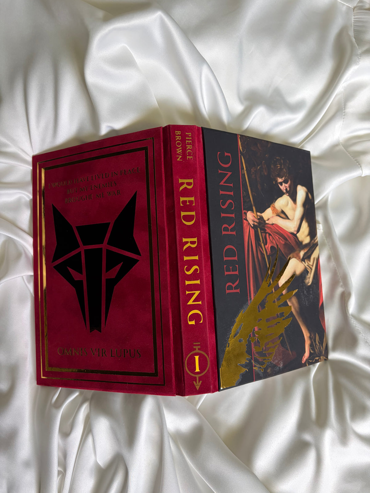Red Rising by Pierce Brown
